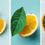 가마 종류별 비교 - Here are three detailed image prompts: