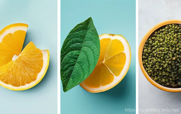 가마 종류별 비교 - Here are three detailed image prompts: