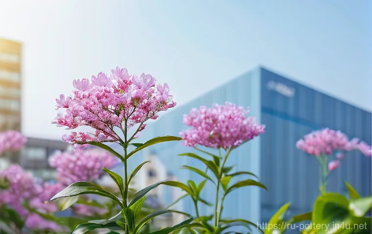 도예 창업 준비 및 절차 이미지 1